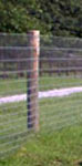 6’ (1.8m) x 5” Round Fencing Post - Click Image to Close